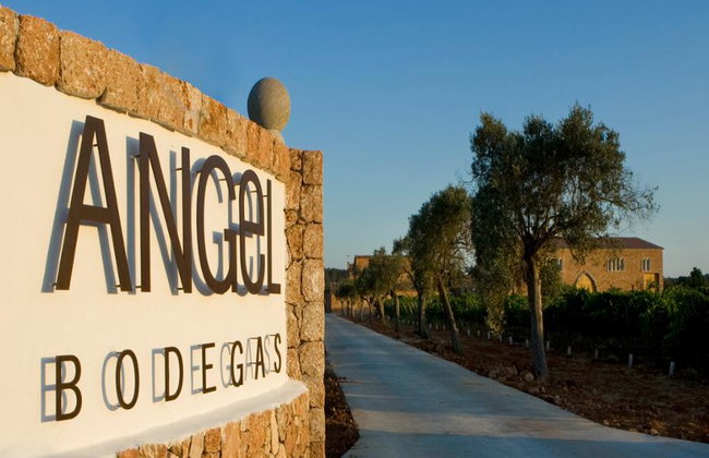 Visita alle Bodegas Angel con degustazione di vini e paella - Foto 1